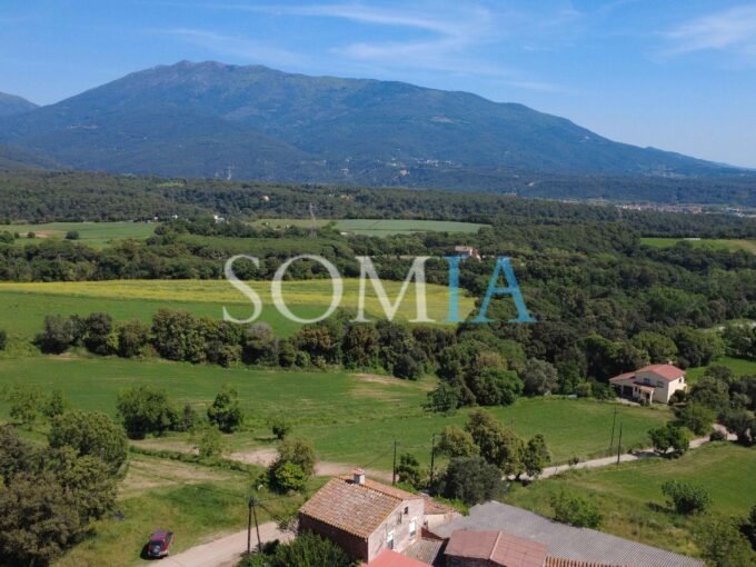 Dji Fly Photo Optimized